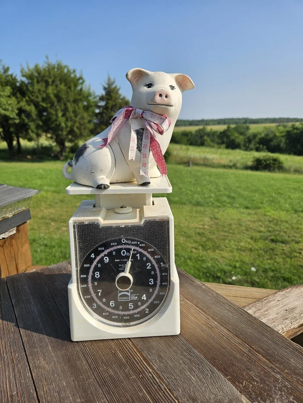 COTTAGECORE Vintage Spotted White Ceramic Pig Statue Farm Animal Decor Plaid